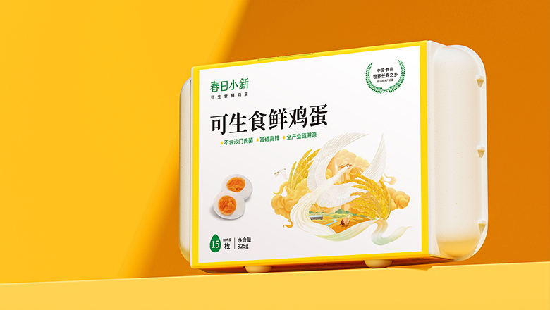 漳州肉制品包裝設計-融合創意與品質，展現獨特風采。